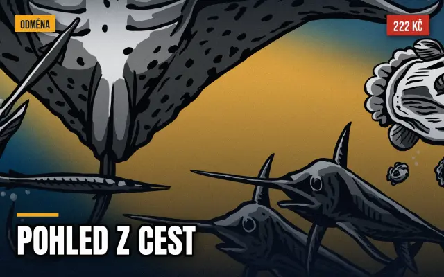 Pohled z cest