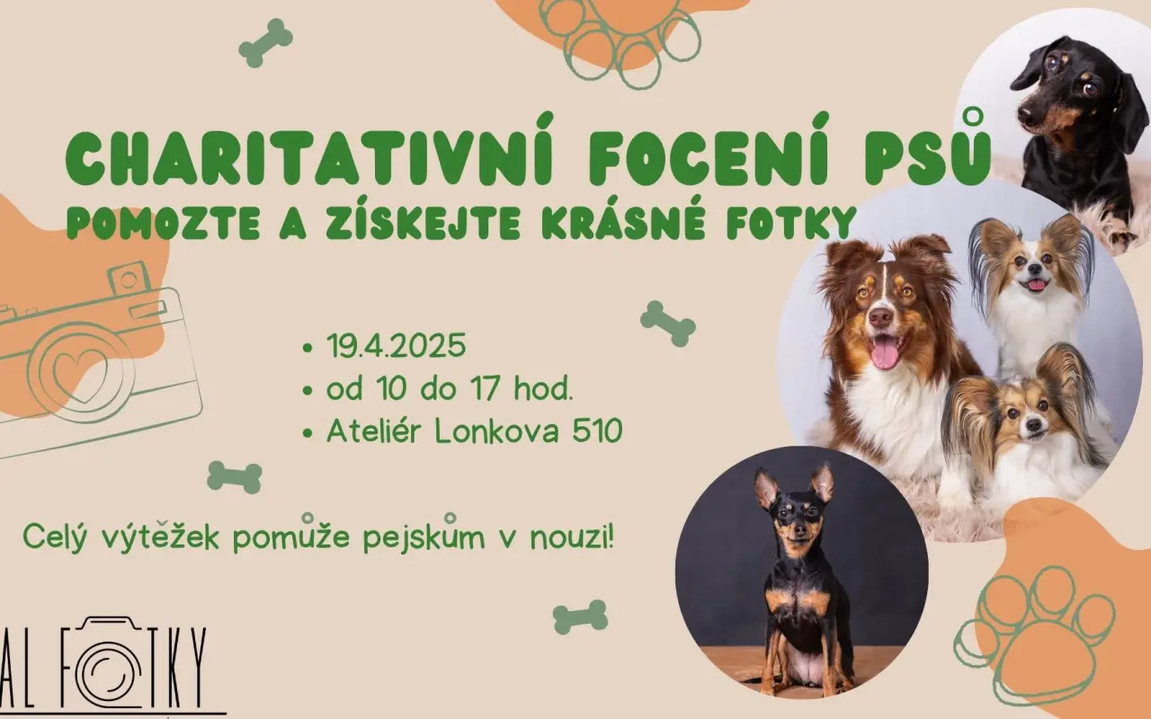 Charitativní focení vašich pejsků na podporu zázemí!